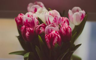 bouquet de fleurs